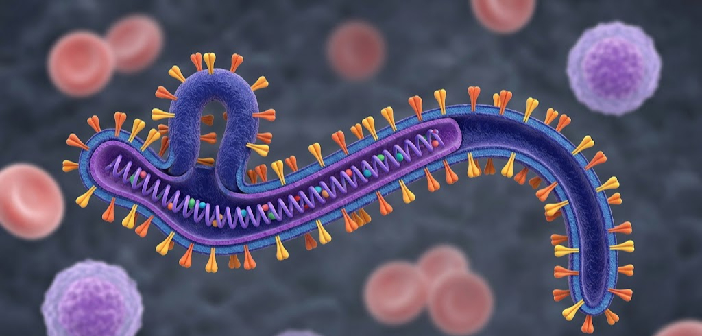Khuyến cáo phòng chống dịch bệnh sốt xuất huyết do virus Ebola